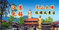 www.骚逼.com江苏无锡灵山大佛旅游风景区